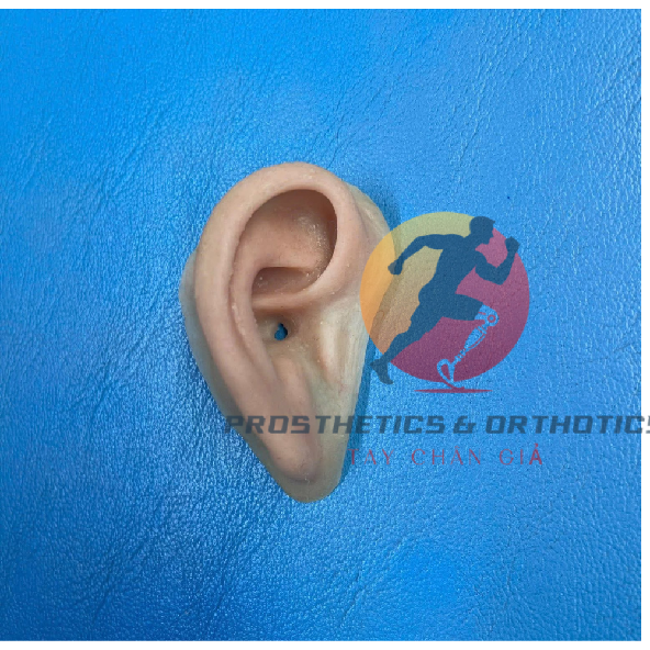 Tai Giả Thẩm Mỹ