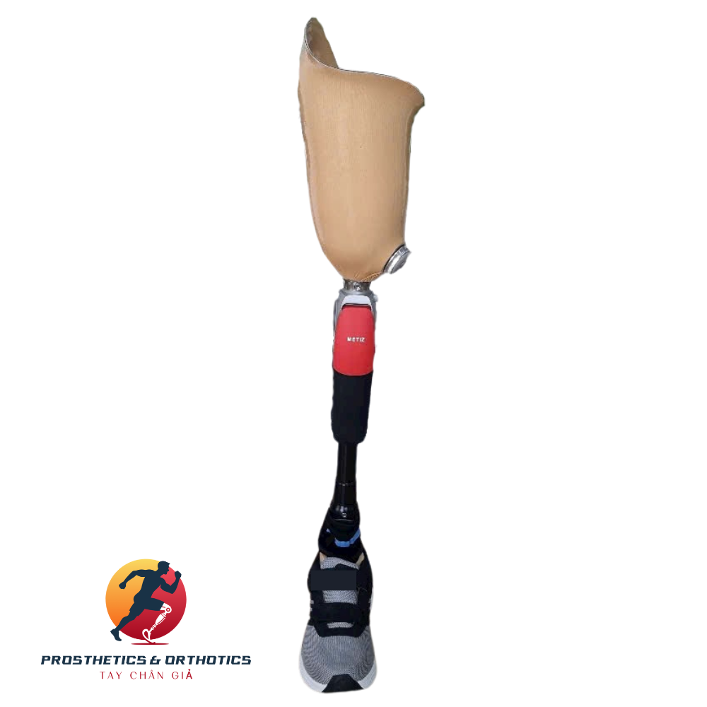 Chân trên gối khớp Metiz 6H30