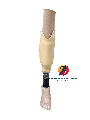 Chân giả dưới gối silicon + Bàn carbon cổ cao