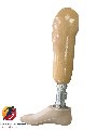 Chân Giả Dưới Gối - Cơ Bản