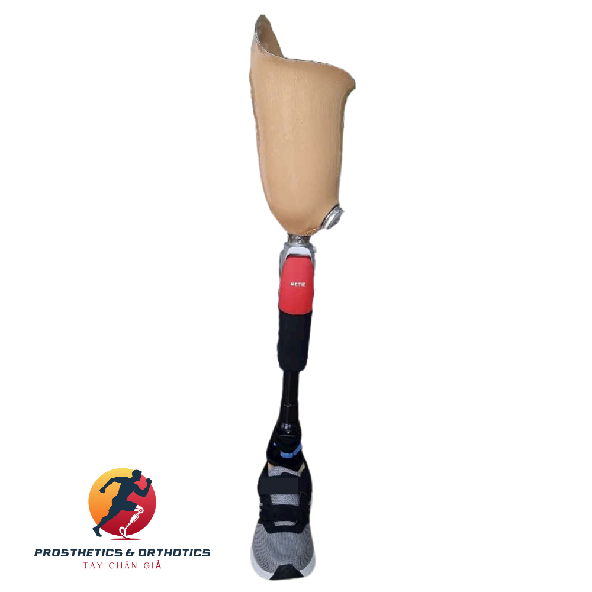 Chân trên gối khớp Metiz 6H30