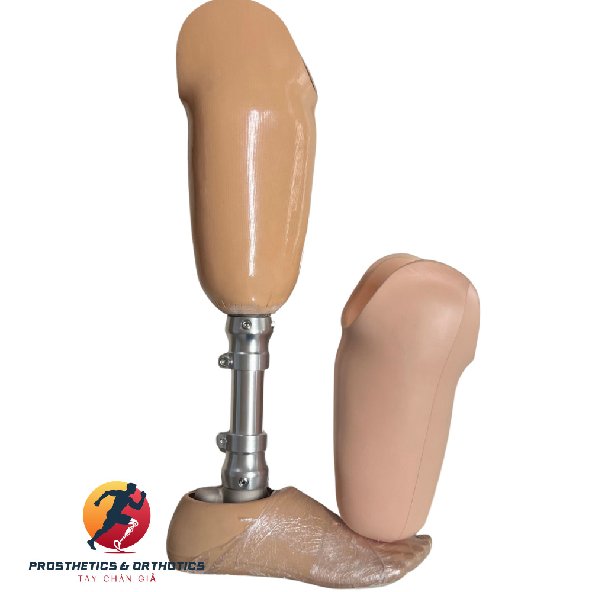 Chân Giả Dưới Gối - Bàn có khớp mắt cá