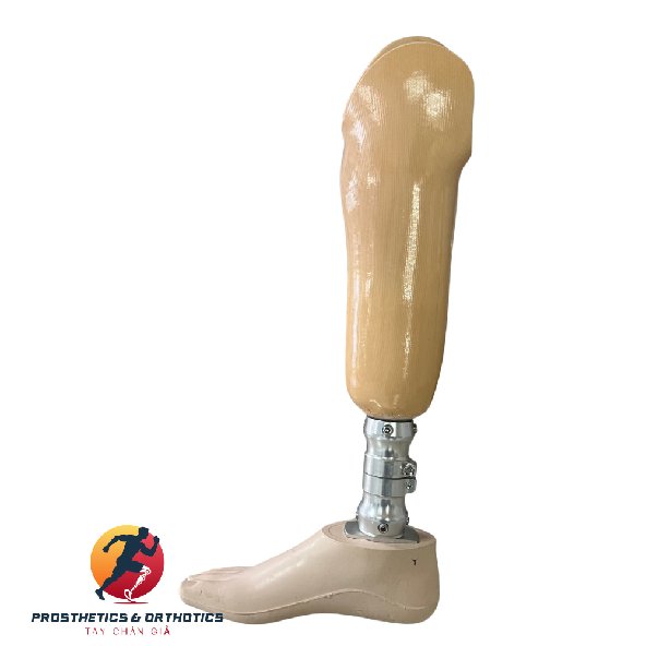 Chân Giả Dưới Gối - Cơ Bản