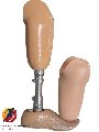 Chân Giả Dưới Gối - Bàn có khớp mắt cá