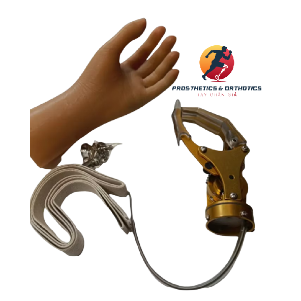 Tay chức năng cơ - Dưới khuỷu