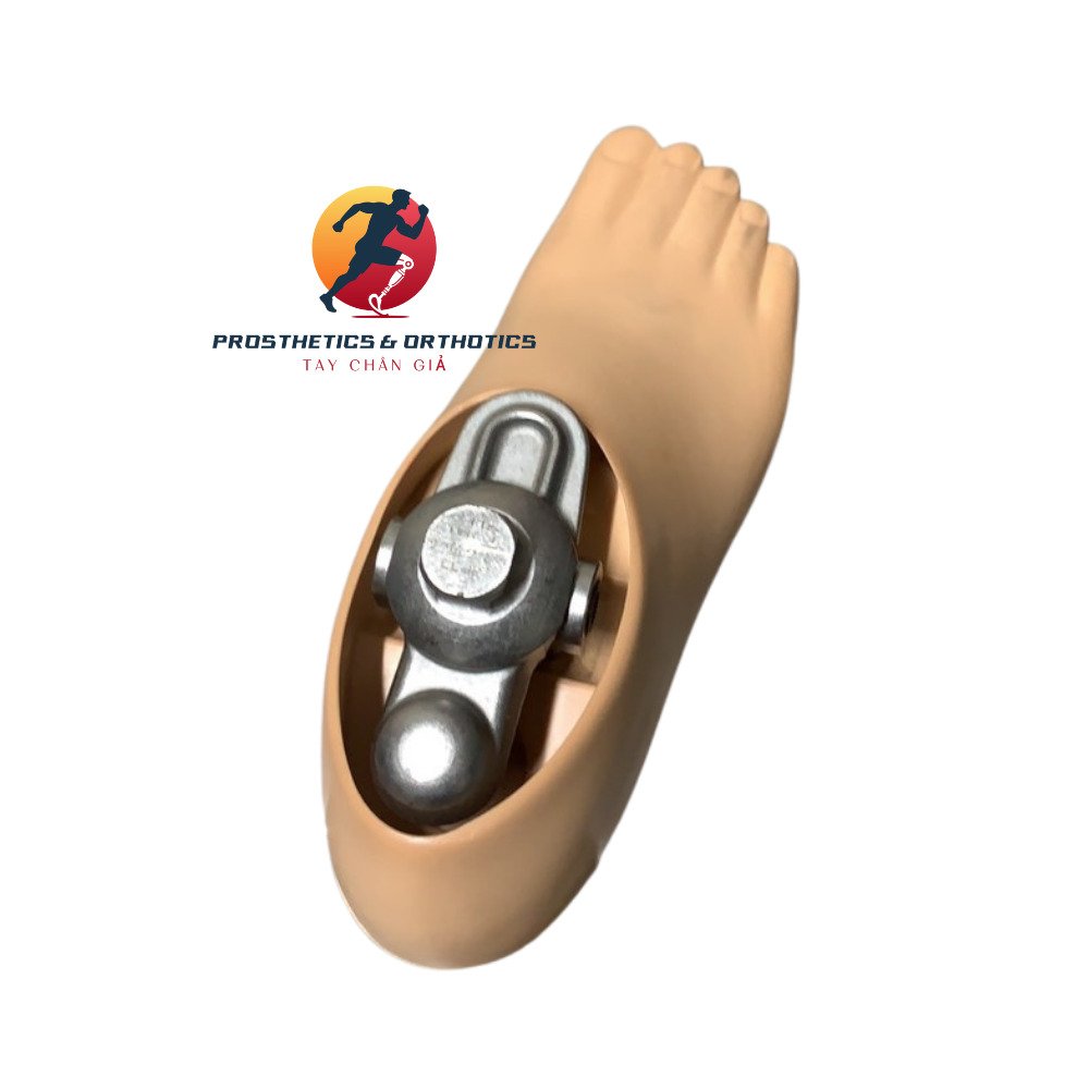 Bộ Khớp mắt cá + Bàn chân