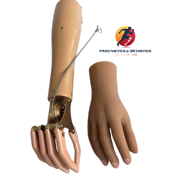 Tay chức năng cơ - Dưới khuỷu